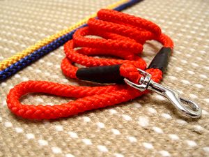 Cord nylon dog lead- dog leash